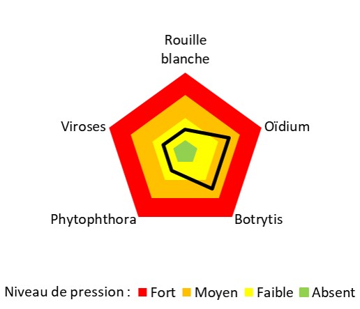 Pression maladies Astredhor Sud-Ouest HORTIPOT 2