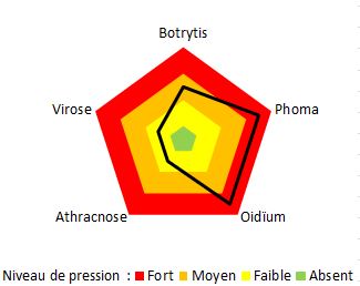 Pression annuelle moyenne en maladies sous multichapelle plastique à ALB-CDHRC