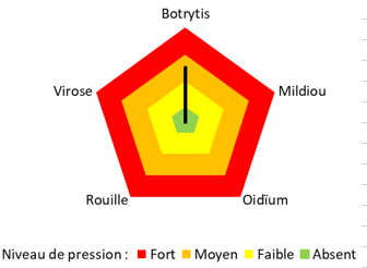 Pression annuelle moyenne en maladies sous serre verre à ALB-CDHRC