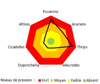 Niveaux de pression en ravageurs sous serre verre à ALB-CDHRC