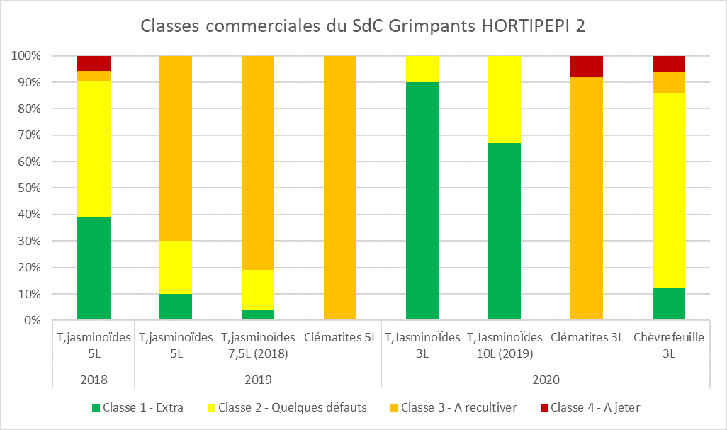 Qualité comemrciale pts fruits