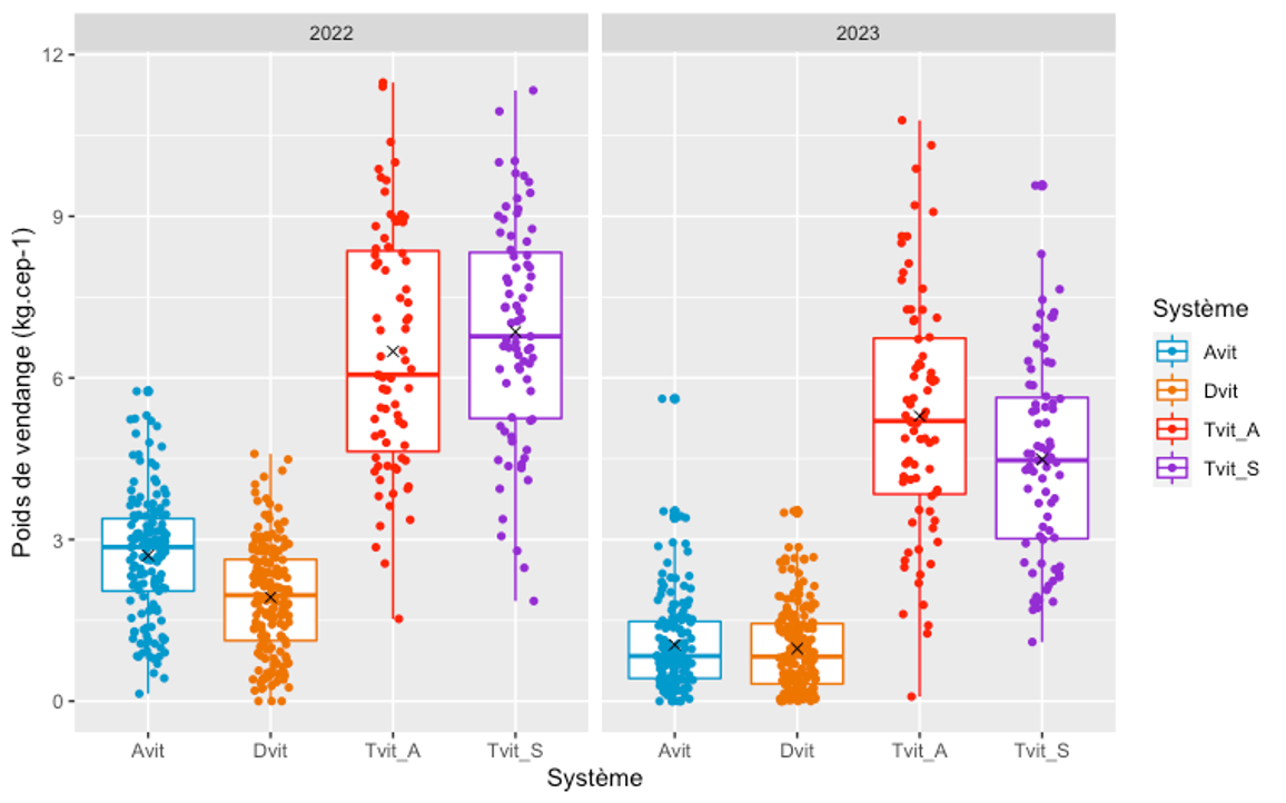 Rendements 2022 et 2023
