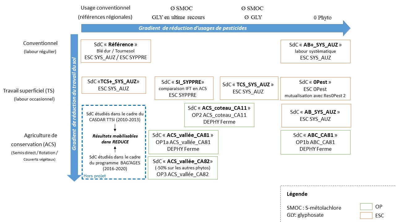 Schéma de répartition des systèmes de culture en fonction des 2 gradients