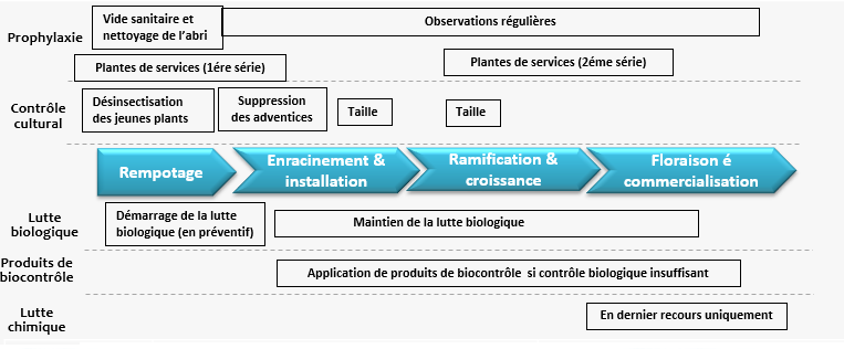Schéma décisionnel pour la lutte contre les ravageurs