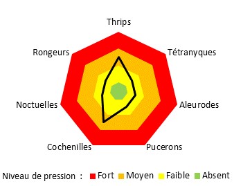 Graphique pression ravageurs
