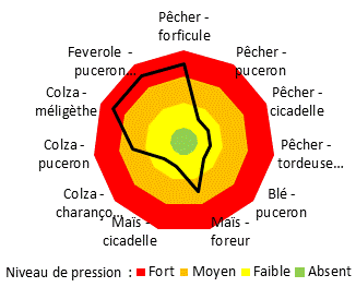 TAB_Système agroforestier_Ravageurs_Graphique