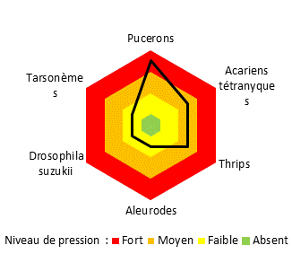 Ravageurs graphique Invenio site de Ste Livrade