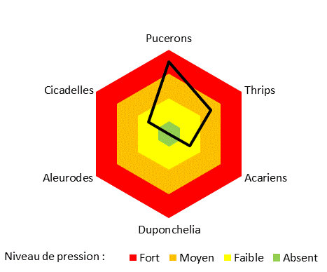Niveau de pression en Ravageurs