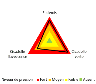 Pression des principaux ravageurs de la vigne