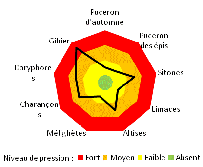 Graphique radar représentant la pression ravageurs
