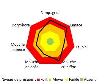 Graphique niveau de pression ravageurs sefersol