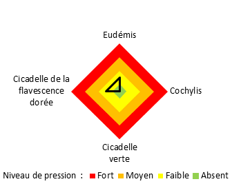 Principaux ravageurs