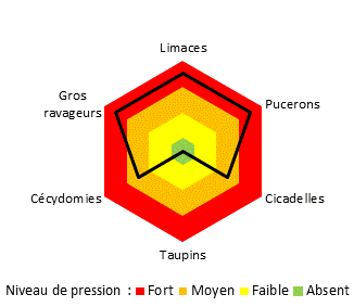 Niveau de pression ravageurs