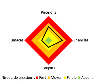 Dominance des pucerons et des chenilles