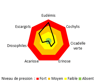Les principeux ravageurs du site de la PRI de Montreuil-Bellay sont les tordeuses (Eudémis principalement).