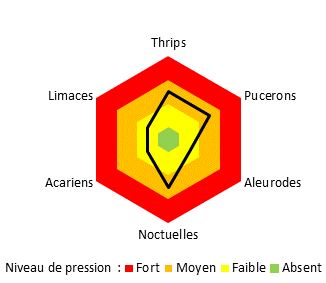 Principaux ravageurs dans le système de culture