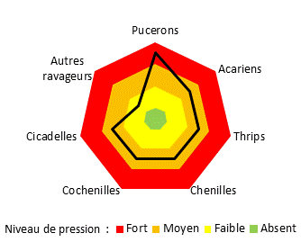 Risque ravageurs pour le système de culture mis en oeuvre sur le site