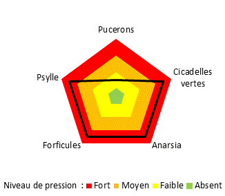 Graphique pression ravageurs SEFRA 2020