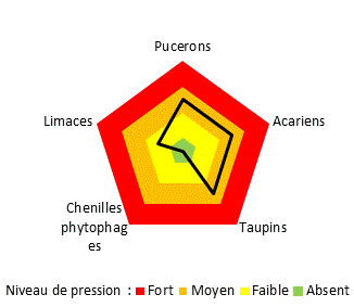Graphique niveau de pression des ravageurs