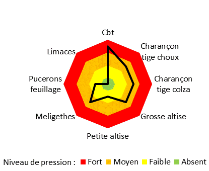 Radar pression ravageurs