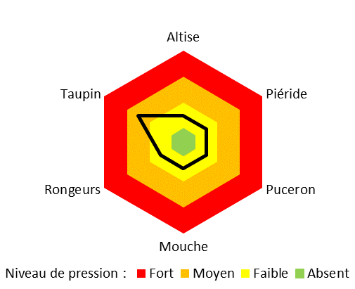 Niveau de pression : ravageurs