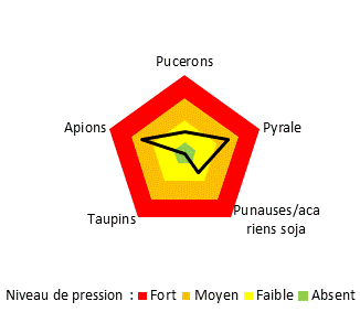 Pression ravageurs faible