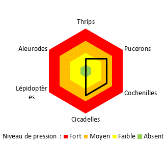 Pression ravageurs Rosabip