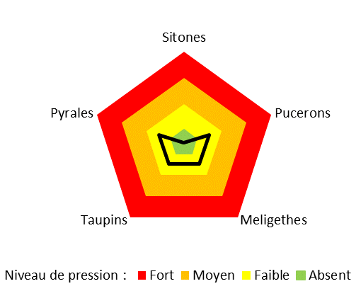 Graphique représentant la pression en ravageurs