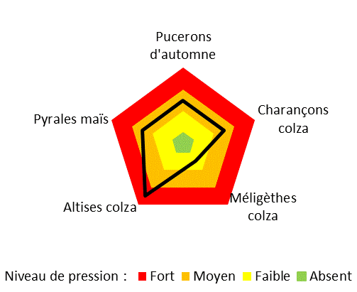 Graphique représentant le niveau de pression des ravageurs
