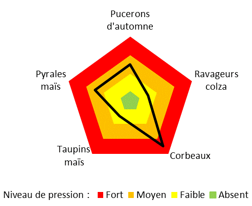 Graphique représentant le niveau de pression des ravageurs