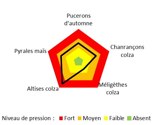 Graphique représentant le niveau de pression ravageurs