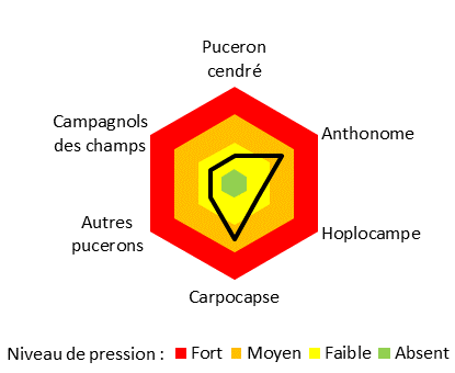 pression ravageurs site de Sées