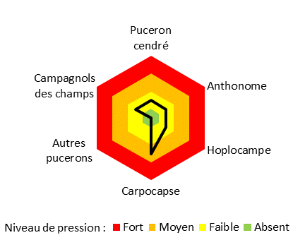 pression ravageurs p27