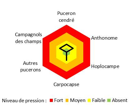 pression ravageurs P76