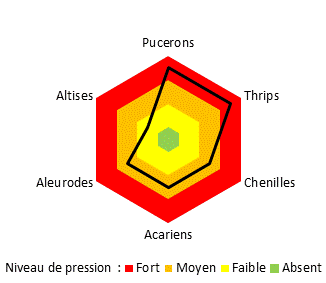 graphique pression ravageur