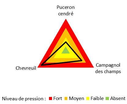 pession ravageurs domjean