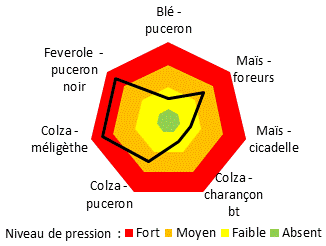 TAB_MiAB_Diagramm_ravageurs