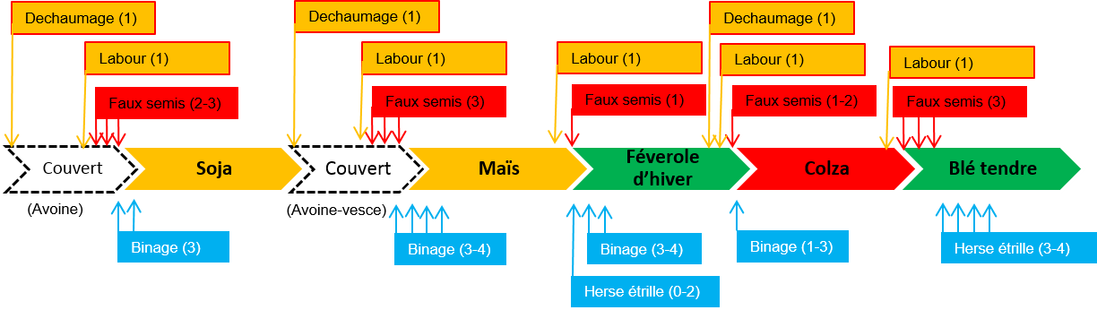 TAB_Système agroforestier_Rotation + gestion adventices