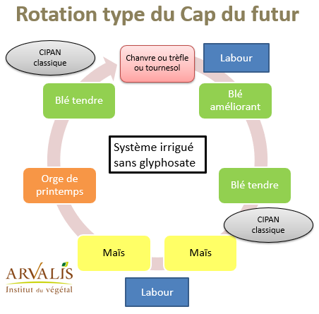Rotation type du CAP DU FUTUR