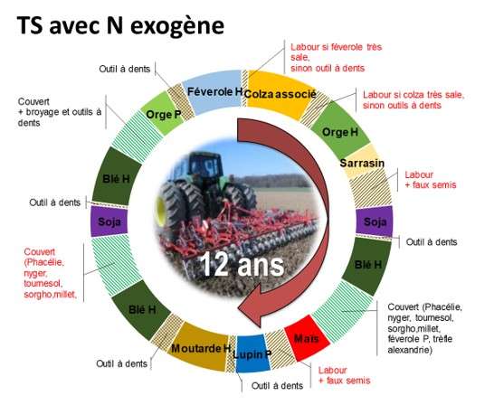 Succession du système de culture TS1