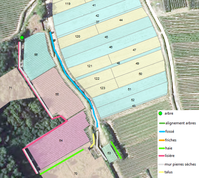 SIE du site de Wintzenheim