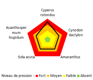 Graphique pression adventices