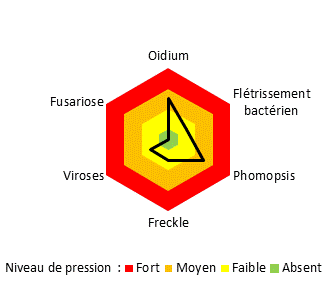 Graphique pression maladies