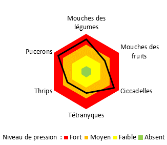 Graphique pression ravageurs