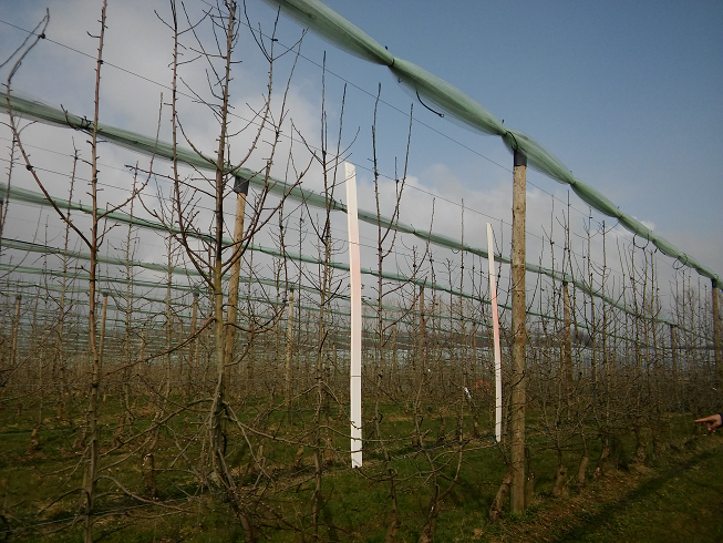 réglage pulvérisateur