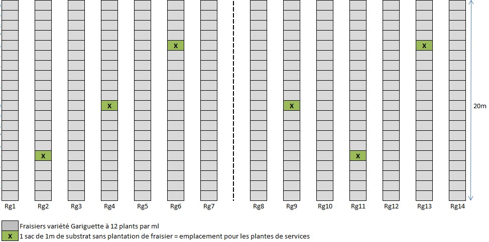 dispositif ste livrade