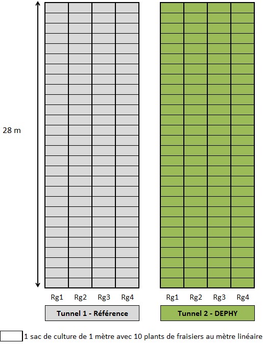 dispositif invenio douville
