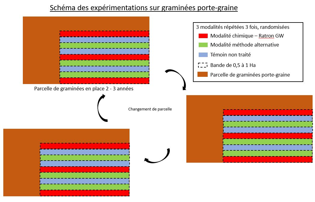 Schéma expérimental