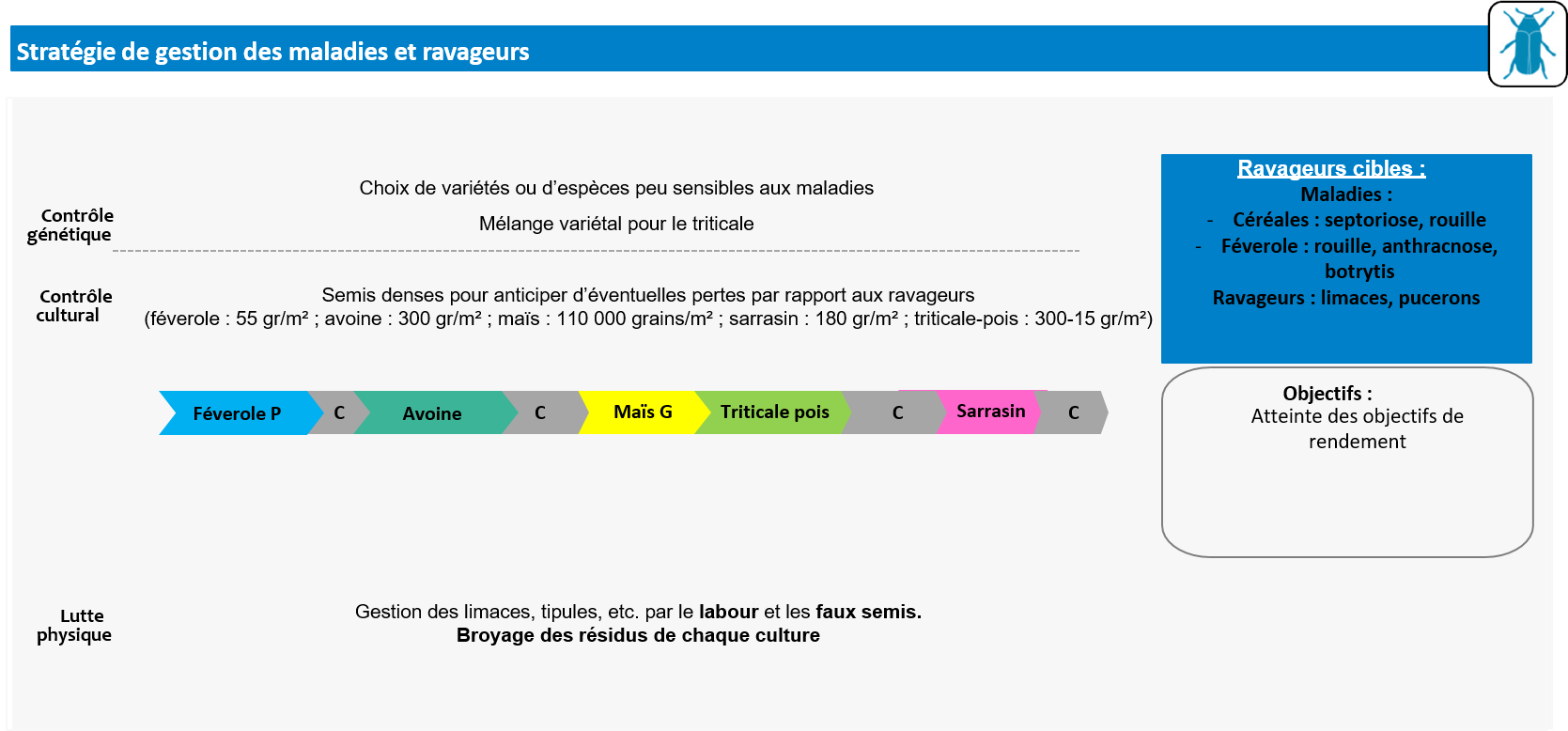 Schéma maladies et ravageurs