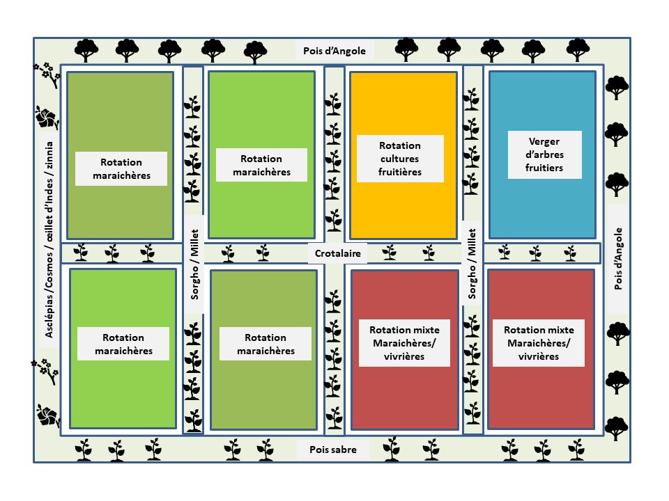 Dispositif expérimental